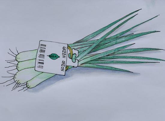Bread Clips Bread Clips